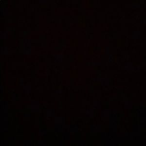 Meet your Posher, Sophie